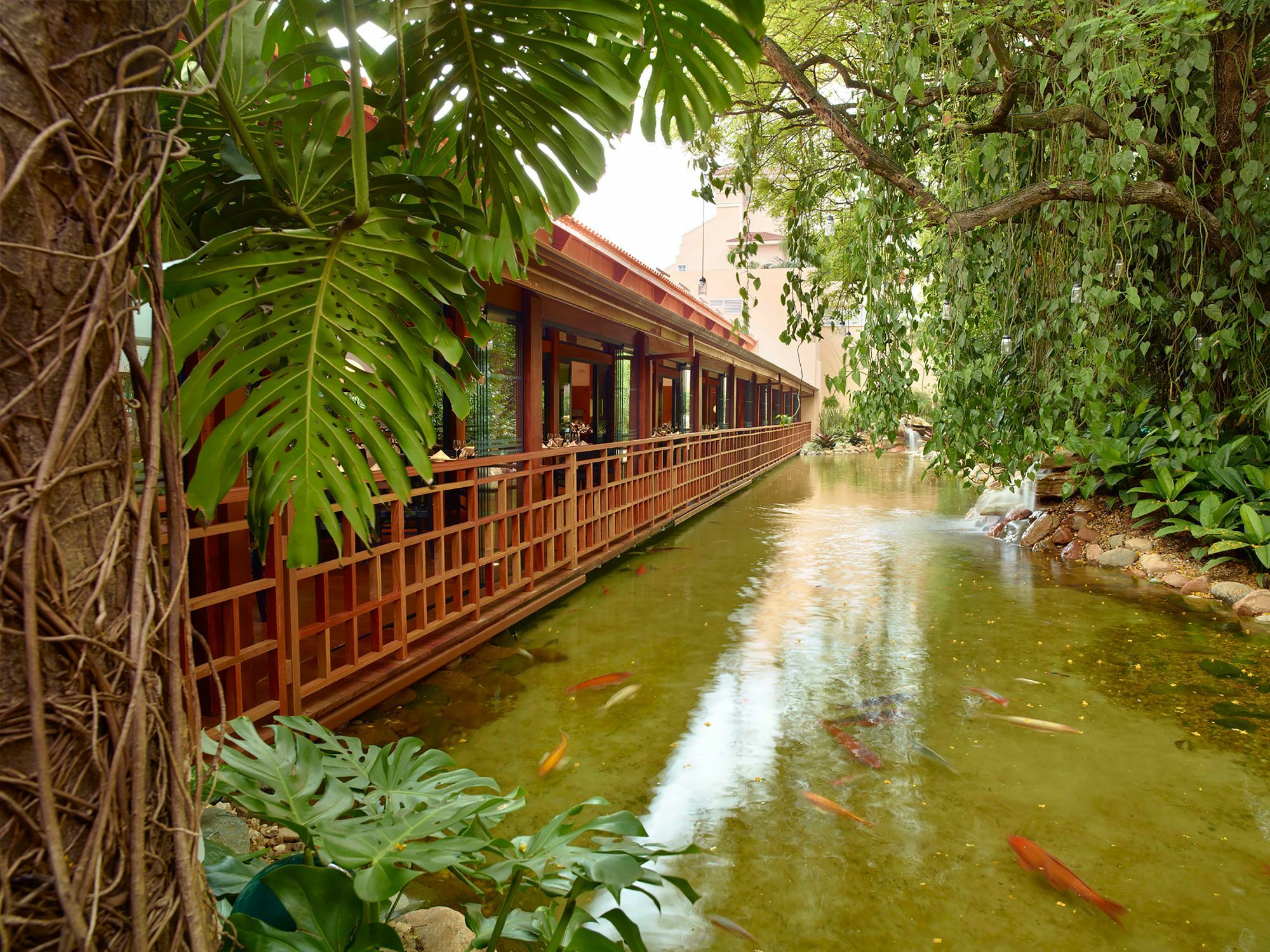 קמפינאס Royal Palm Plaza Resort מראה חיצוני תמונה